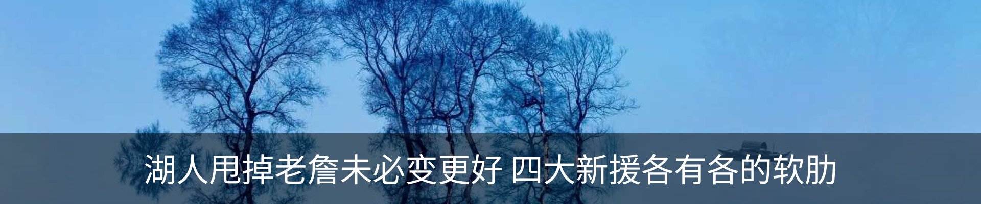 最新动态