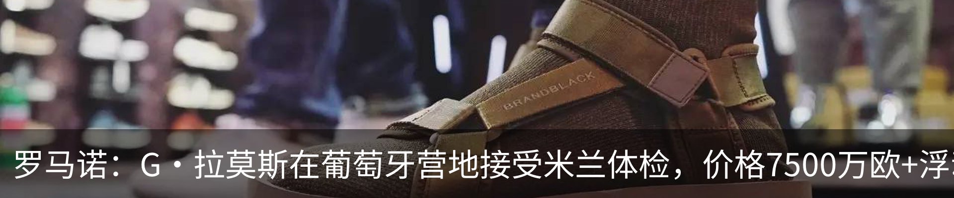 最新动态